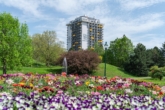 Bild - Singlewohnung mit Balkon und Blick in den grünen Kurpark – Concierge im Haus
